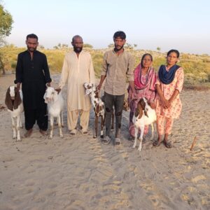 a family (three men, two women) standing with four goats