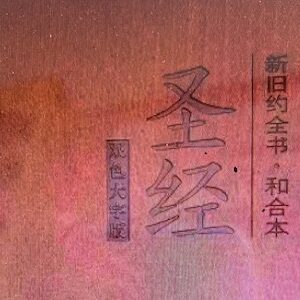 Large-Print Chinese Bible Cover Detail